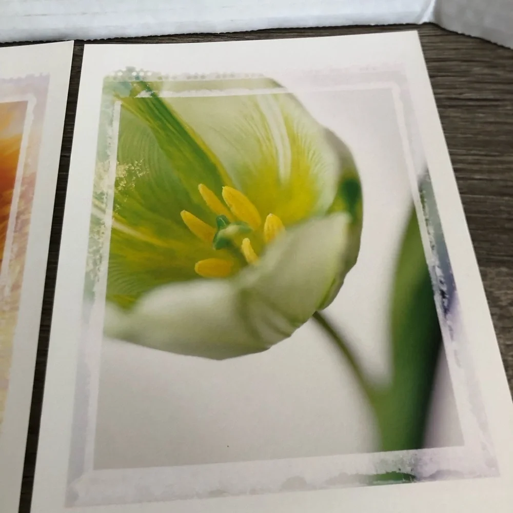 Vtg IKEA Floral Art Cards - Picture 5 of 11